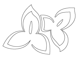 Disa Stables logo